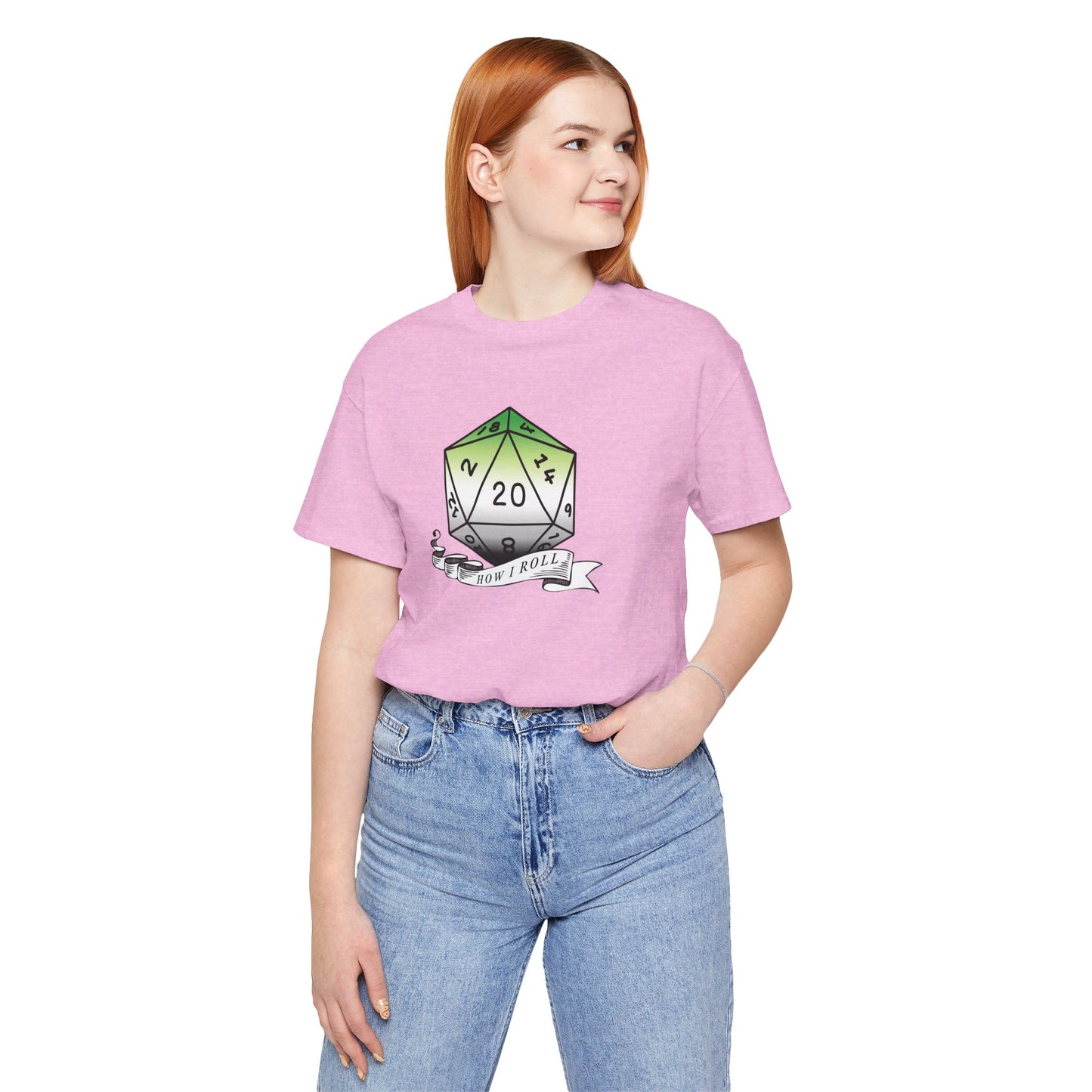 This Is How I Roll | Pride Flag D20 T-Shirt | Unisex T-Shirt | Nerdy Aromantic Pride