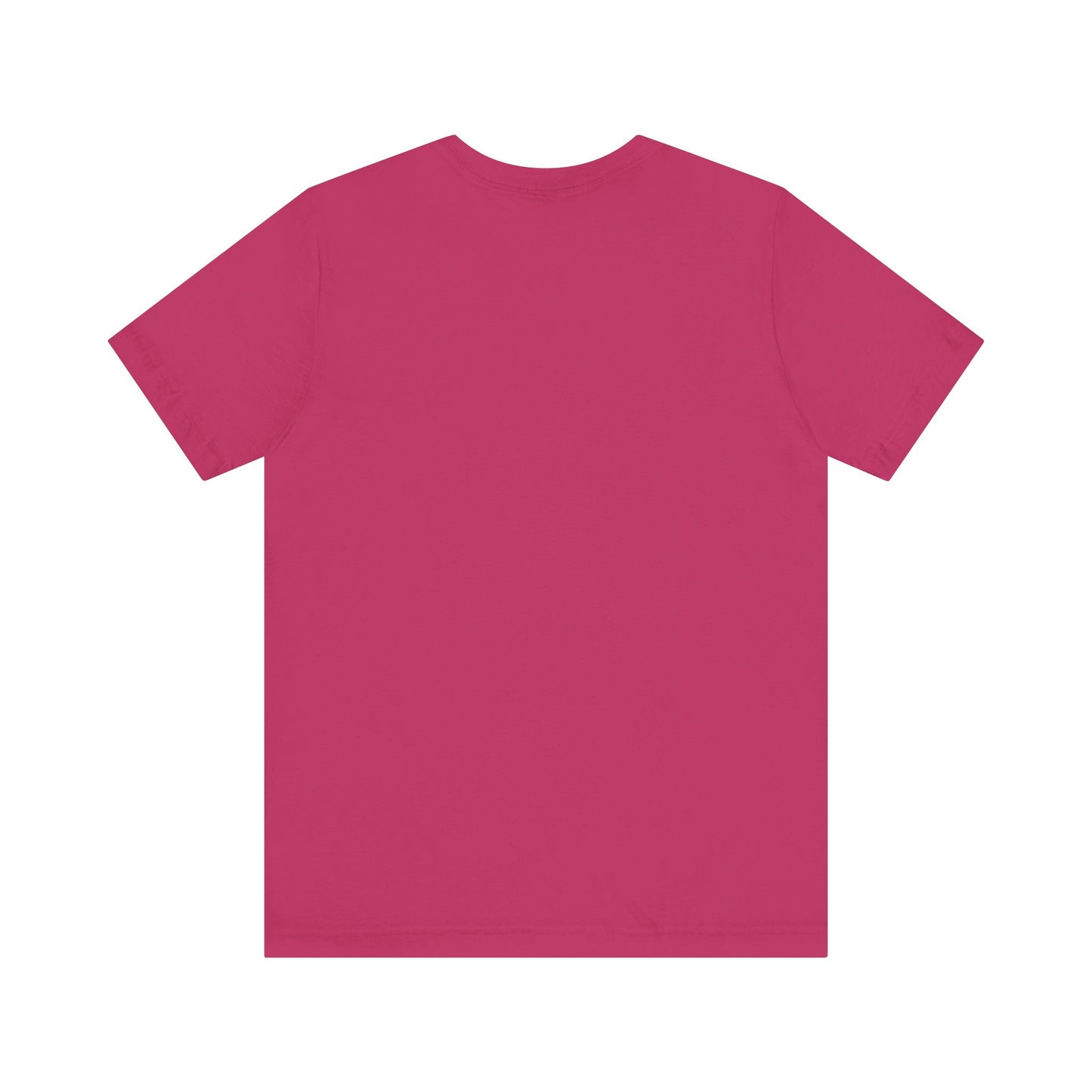 Nerdy Transexual Pride Flag D20 This Is How I Roll T-Shirt