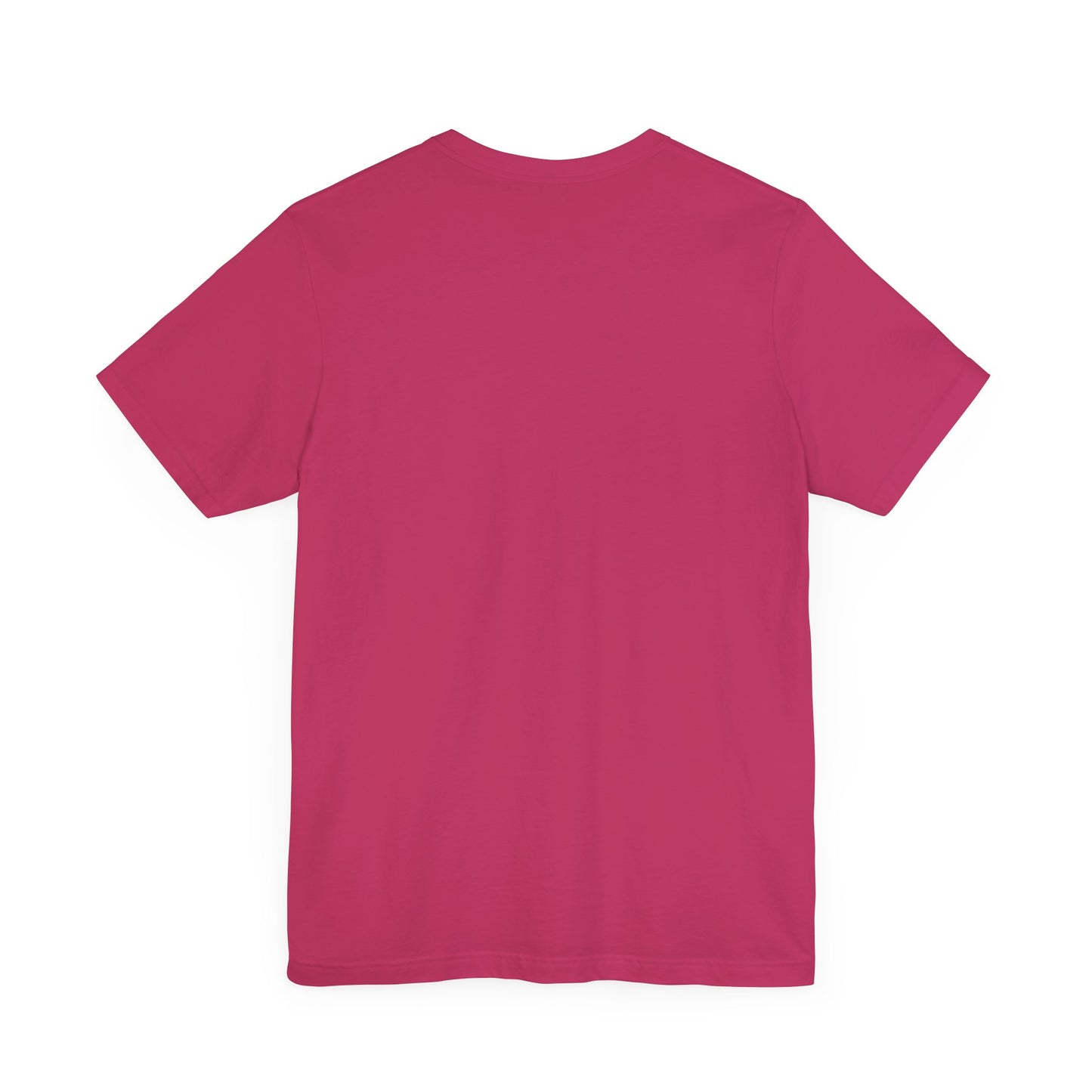 Nerdy Transexual Pride Flag D20 This Is How I Roll T-Shirt