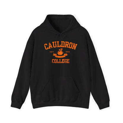 Halloween College Hoodie - Cauldron College, Witchy Sweatshirt