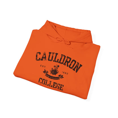 Halloween College Hoodie - Cauldron College, Witchy Sweatshirt