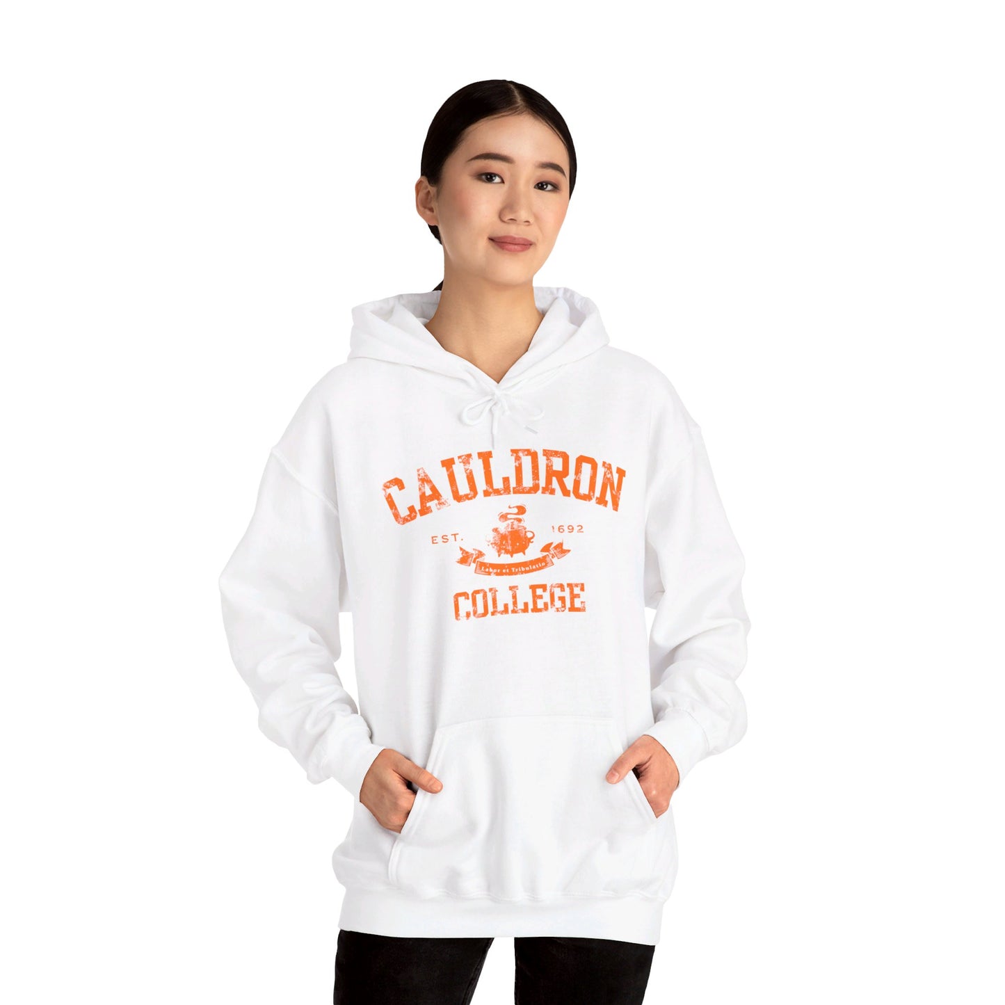 Halloween College Hoodie - Cauldron College, Witchy Sweatshirt