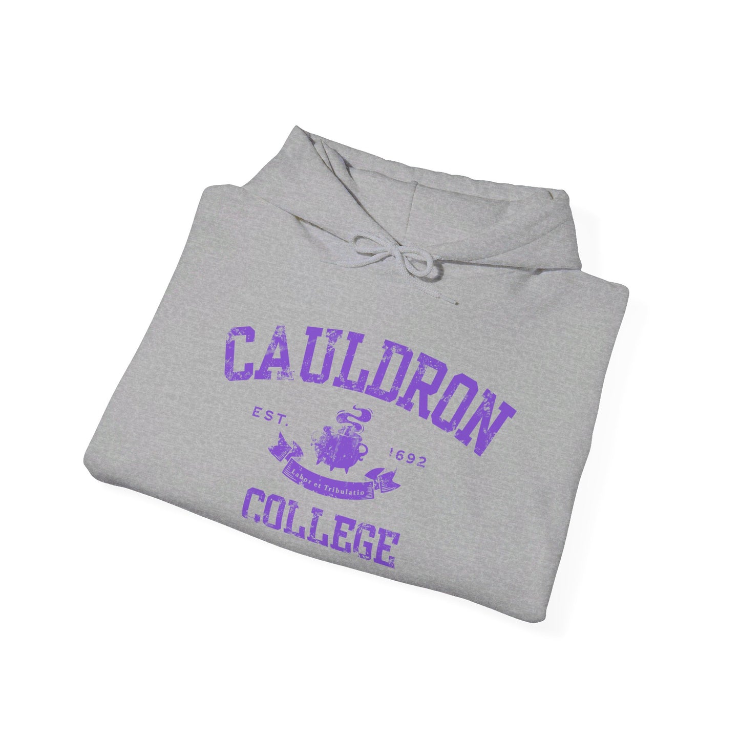 Halloween College Hoodie - Cauldron College, Witchy Sweatshirt