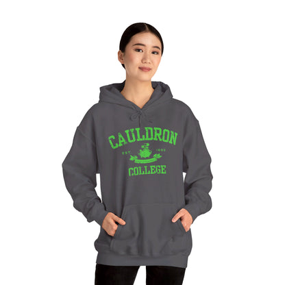 Halloween College Hoodie - Cauldron College, Witchy Sweatshirt