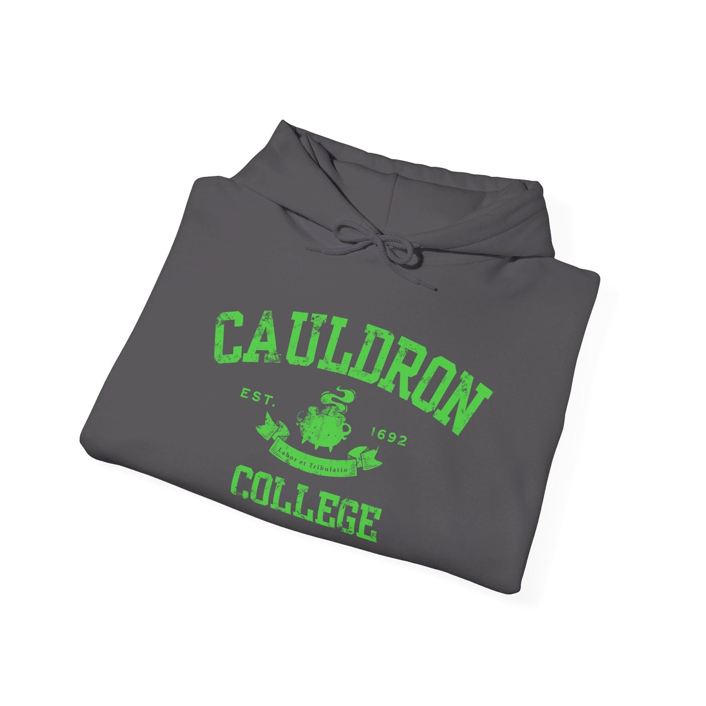 Halloween College Hoodie - Cauldron College, Witchy Sweatshirt