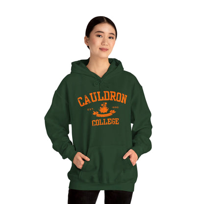 Halloween College Hoodie - Cauldron College, Witchy Sweatshirt