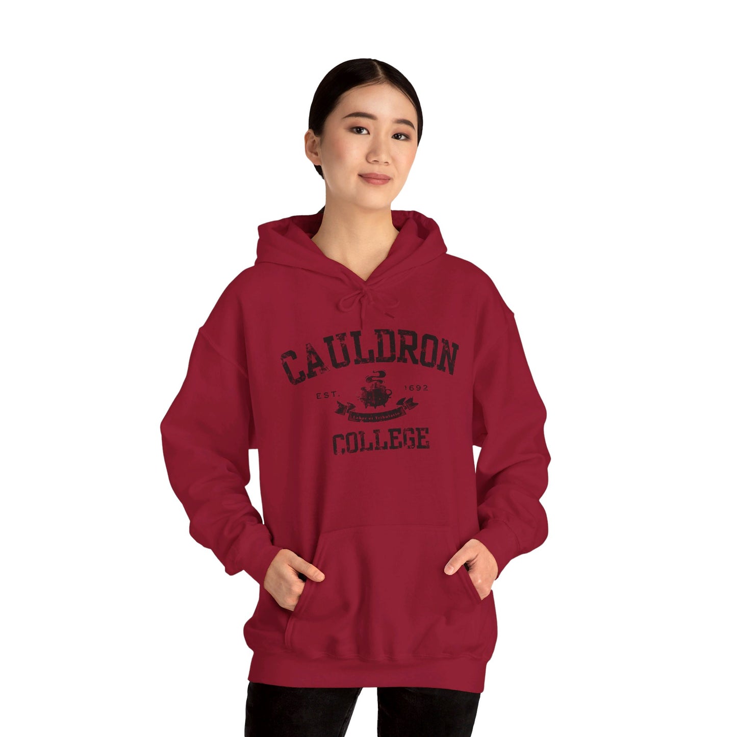 Halloween College Hoodie - Cauldron College, Witchy Sweatshirt