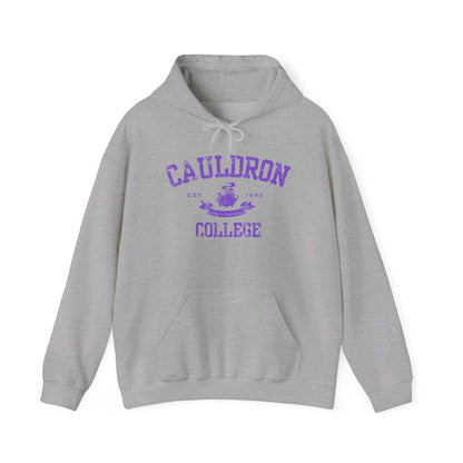 Halloween College Hoodie - Cauldron College, Witchy Sweatshirt