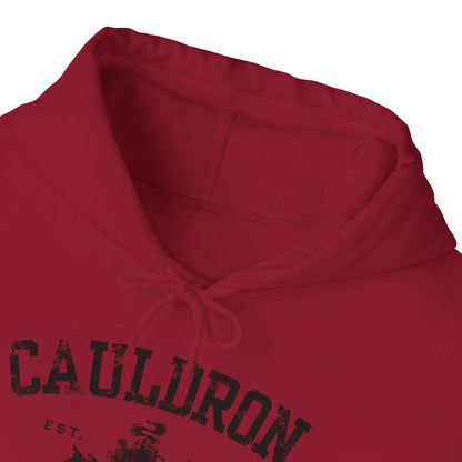 Halloween College Hoodie - Cauldron College, Witchy Sweatshirt