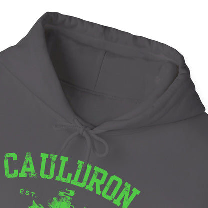 Halloween College Hoodie - Cauldron College, Witchy Sweatshirt