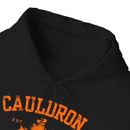 Halloween College Hoodie - Cauldron College, Witchy Sweatshirt