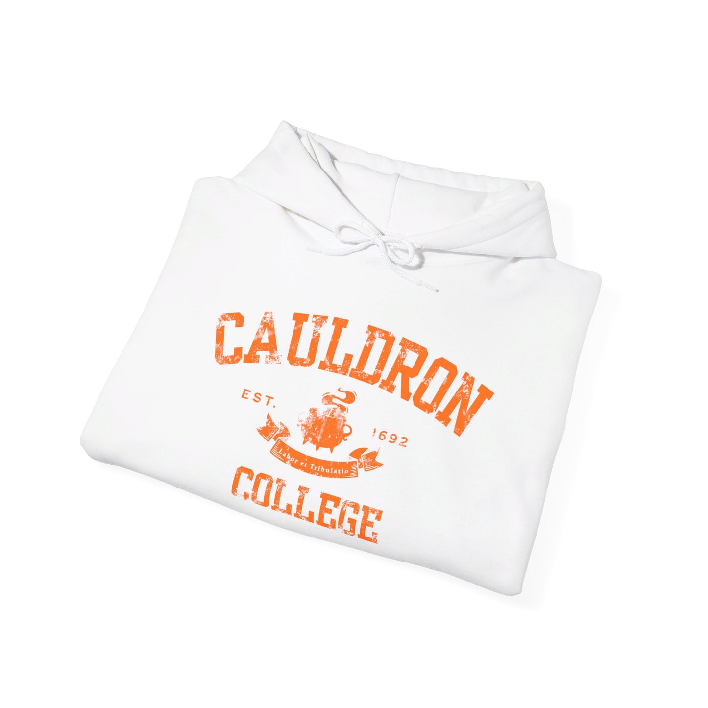 Halloween College Hoodie - Cauldron College, Witchy Sweatshirt