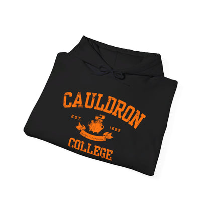 Halloween College Hoodie - Cauldron College, Witchy Sweatshirt