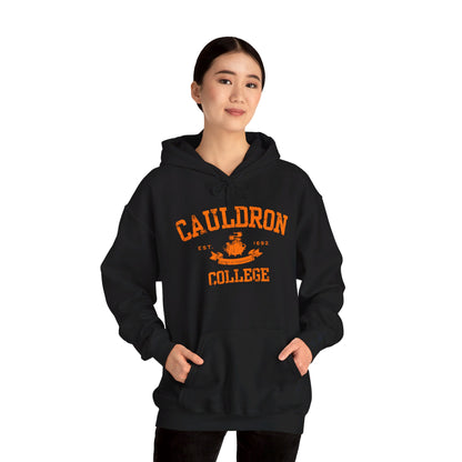 Halloween College Hoodie - Cauldron College, Witchy Sweatshirt