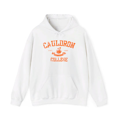 Halloween College Hoodie - Cauldron College, Witchy Sweatshirt