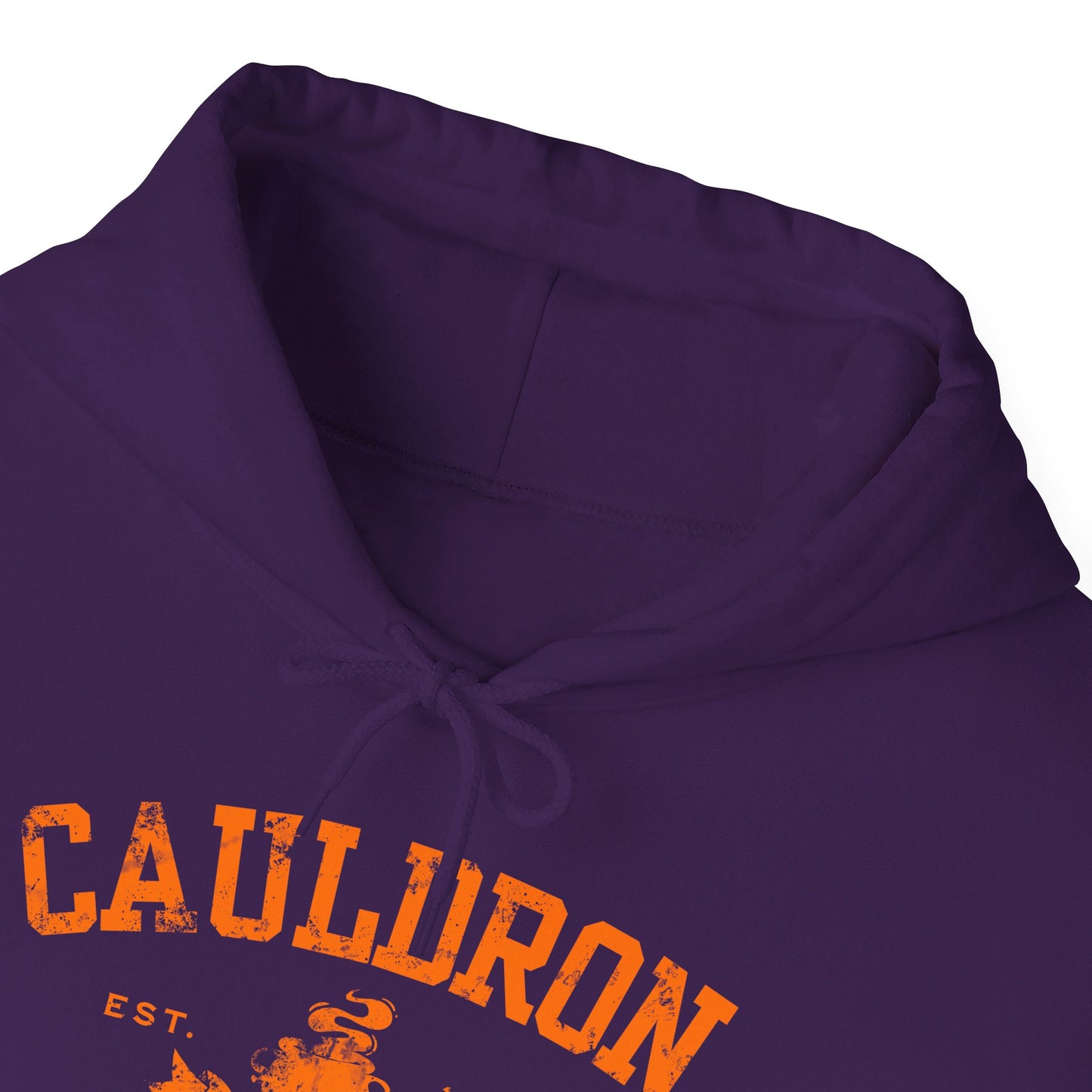 Halloween College Hoodie - Cauldron College, Witchy Sweatshirt