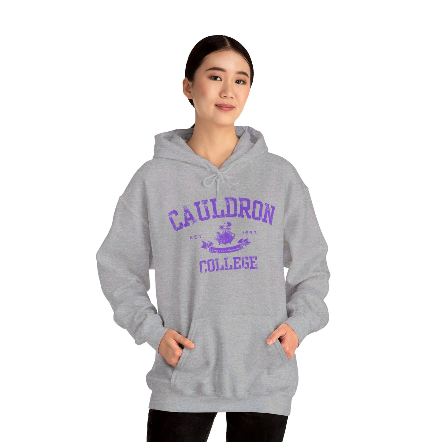 Halloween College Hoodie - Cauldron College, Witchy Sweatshirt