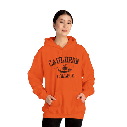 Halloween College Hoodie - Cauldron College, Witchy Sweatshirt