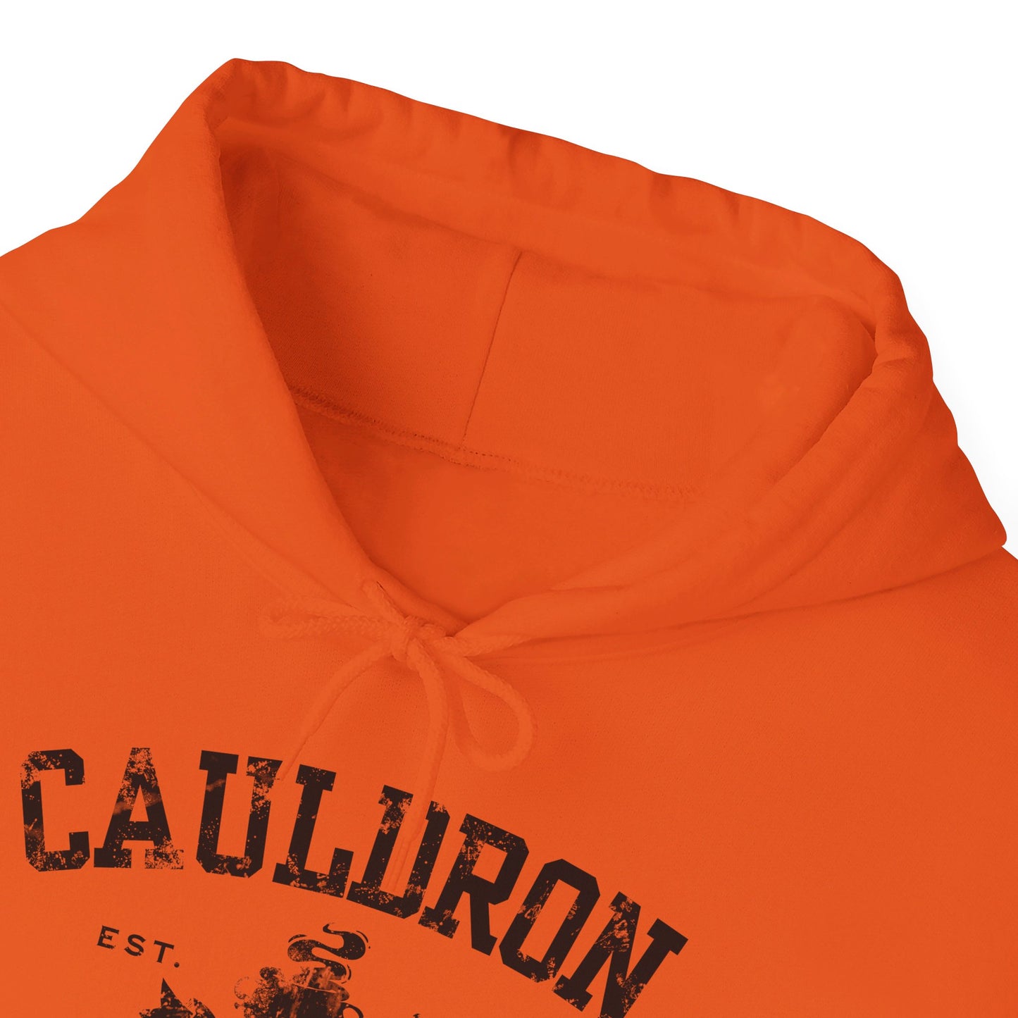 Halloween College Hoodie - Cauldron College, Witchy Sweatshirt