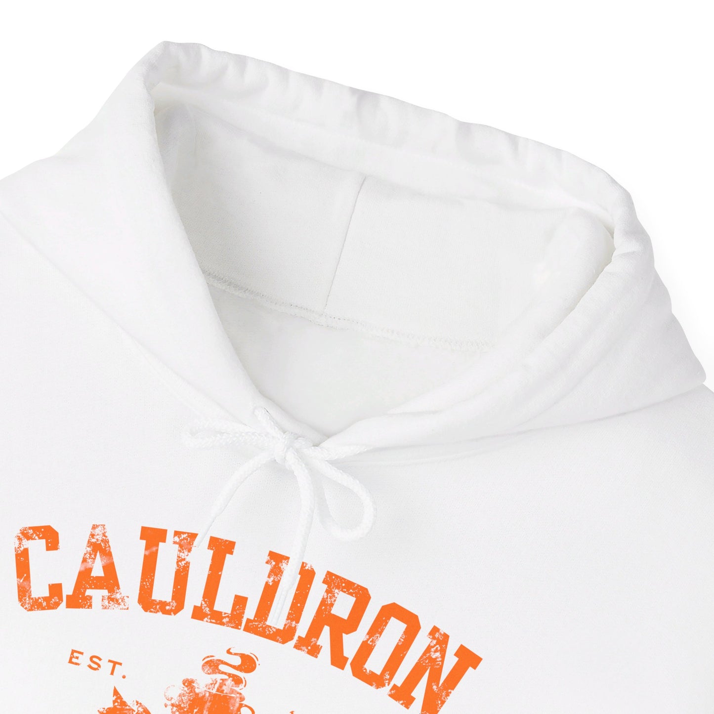 Halloween College Hoodie - Cauldron College, Witchy Sweatshirt